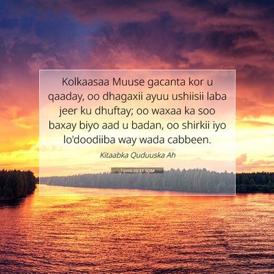 Picture 07 - Tirintii 20:11 SOM - Kolkaasaa Muuse gacanta kor u qaaday, oo dhagaxii - Bible Verse Picture