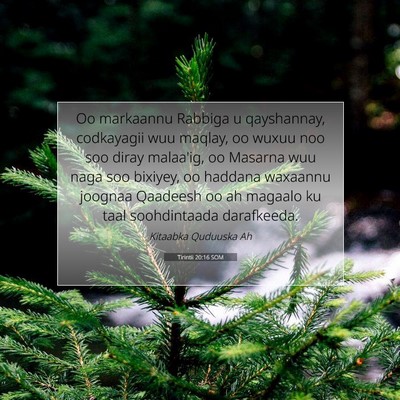 Picture 07 - Tirintii 20:16 SOM - Oo markaannu Rabbiga u qayshannay, codkayagii wuu - Bible Verse Picture