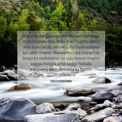 Picture 07 - Tirintii 20:17 SOM - Waan ku baryayaaye, na daa aan dalkaaga dhex - Bible Verse Picture