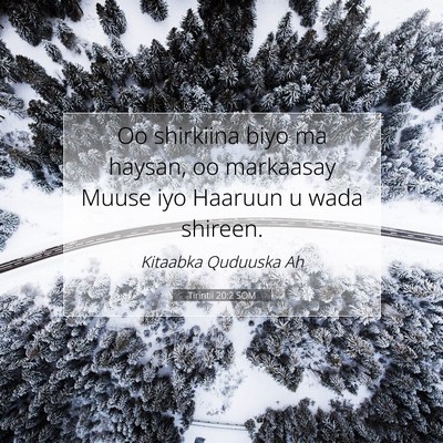 Picture 07 - Tirintii 20:2 SOM - Oo shirkiina biyo ma haysan, oo markaasay Muuse - Bible Verse Picture