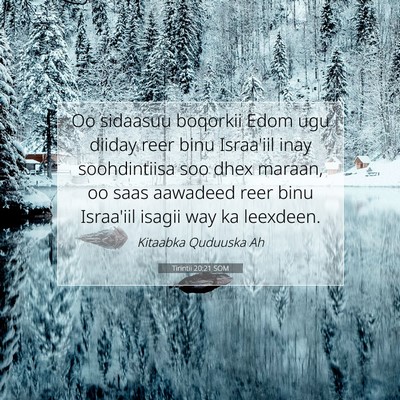 Picture 07 - Tirintii 20:21 SOM - Oo sidaasuu boqorkii Edom ugu diiday reer binu - Bible Verse Picture