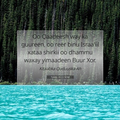 Picture 07 - Tirintii 20:22 SOM - Oo Qaadeesh way ka guureen, oo reer binu - Bible Verse Picture