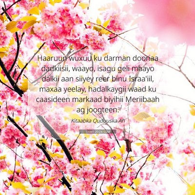 Picture 07 - Tirintii 20:24 SOM - Haaruun wuxuu ku darman doonaa dadkiisii, waayo, - Bible Verse Picture