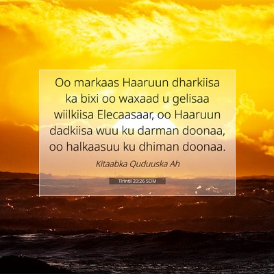 Picture 07 - Tirintii 20:26 SOM - Oo markaas Haaruun dharkiisa ka bixi oo waxaad u - Bible Verse Picture