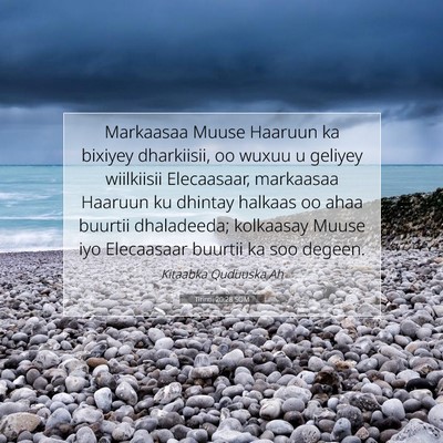 Picture 07 - Tirintii 20:28 SOM - Markaasaa Muuse Haaruun ka bixiyey dharkiisii, oo - Bible Verse Picture