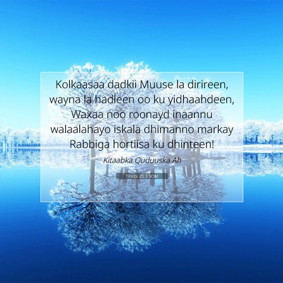 Picture 07 - Tirintii 20:3 SOM - Kolkaasaa dadkii Muuse la dirireen, wayna la - Bible Verse Picture