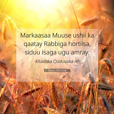 Picture 07 - Tirintii 20:9 SOM - Markaasaa Muuse ushii ka qaatay Rabbiga hortiisa, - Bible Verse Picture