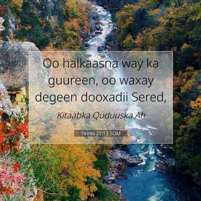 Picture 07 - Tirintii 21:12 SOM - Oo halkaasna way ka guureen, oo waxay degeen - Bible Verse Picture