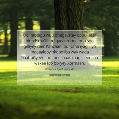 Picture 07 - Tirintii 21:3 SOM - Oo Rabbigu wuu dhegaystay codkii reer binu - Bible Verse Picture
