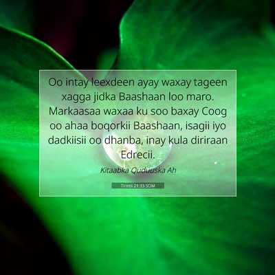 Picture 07 - Tirintii 21:33 SOM - Oo intay leexdeen ayay waxay tageen xagga jidka - Bible Verse Picture