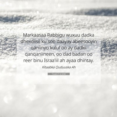 Picture 07 - Tirintii 21:6 SOM - Markaasaa Rabbigu wuxuu dadka dhexdiisii ku soo - Bible Verse Picture