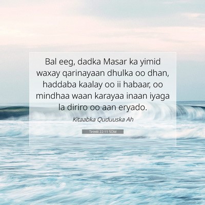 Picture 07 - Tirintii 22:11 SOM - Bal eeg, dadka Masar ka yimid waxay qarinayaan - Bible Verse Picture