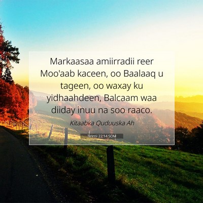 Picture 07 - Tirintii 22:14 SOM - Markaasaa amiirradii reer Moo'aab kaceen, oo - Bible Verse Picture