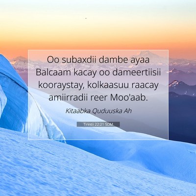 Picture 07 - Tirintii 22:21 SOM - Oo subaxdii dambe ayaa Balcaam kacay oo - Bible Verse Picture