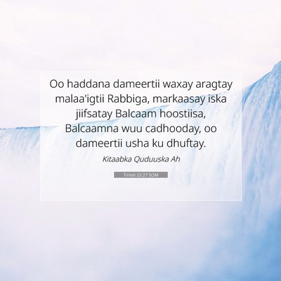 Picture 07 - Tirintii 22:27 SOM - Oo haddana dameertii waxay aragtay malaa'igtii - Bible Verse Picture
