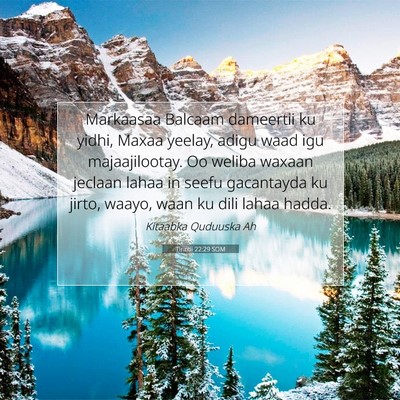 Picture 07 - Tirintii 22:29 SOM - Markaasaa Balcaam dameertii ku yidhi, Maxaa - Bible Verse Picture
