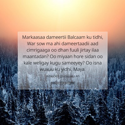 Picture 07 - Tirintii 22:30 SOM - Markaasaa dameertii Balcaam ku tidhi, War sow ma - Bible Verse Picture