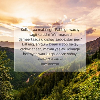 Picture 07 - Tirintii 22:32 SOM - Kolkaasaa malaa'igtii Rabbigu waxay isagii ku - Bible Verse Picture