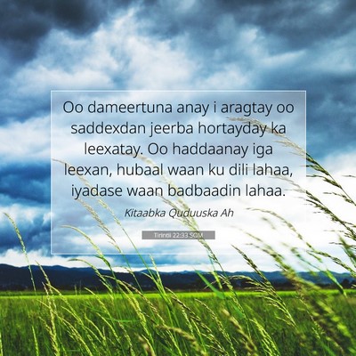 Picture 07 - Tirintii 22:33 SOM - Oo dameertuna anay i aragtay oo saddexdan jeerba - Bible Verse Picture