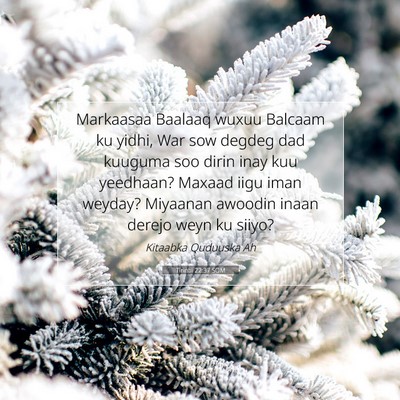 Picture 07 - Tirintii 22:37 SOM - Markaasaa Baalaaq wuxuu Balcaam ku yidhi, War sow - Bible Verse Picture