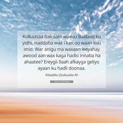 Picture 07 - Tirintii 22:38 SOM - Kolkaasaa Balcaam wuxuu Baalaaq ku yidhi, Haddaba - Bible Verse Picture