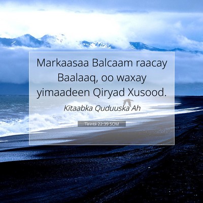 Picture 07 - Tirintii 22:39 SOM - Markaasaa Balcaam raacay Baalaaq, oo waxay - Bible Verse Picture