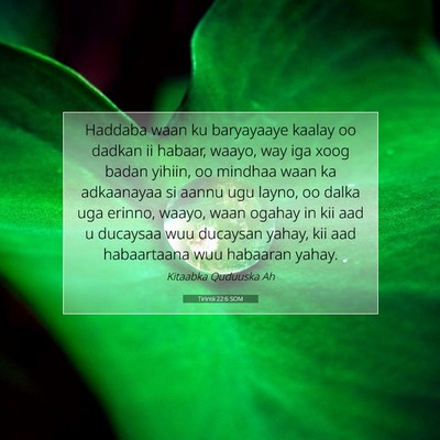 Picture 07 - Tirintii 22:6 SOM - Haddaba waan ku baryayaaye kaalay oo dadkan ii - Bible Verse Picture