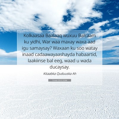 Picture 07 - Tirintii 23:11 SOM - Kolkaasaa Baalaaq wuxuu Balcaam ku yidhi, War waa - Bible Verse Picture