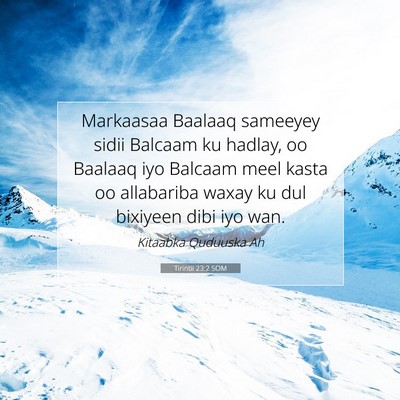 Picture 07 - Tirintii 23:2 SOM - Markaasaa Baalaaq sameeyey sidii Balcaam ku - Bible Verse Picture
