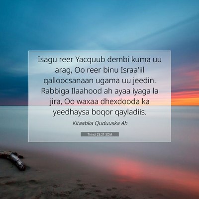 Picture 07 - Tirintii 23:21 SOM - Isagu reer Yacquub dembi kuma uu arag, Oo reer - Bible Verse Picture