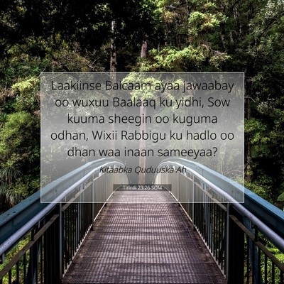 Picture 07 - Tirintii 23:26 SOM - Laakiinse Balcaam ayaa jawaabay oo wuxuu Baalaaq - Bible Verse Picture