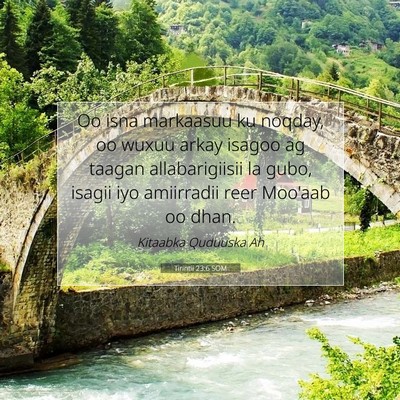 Picture 07 - Tirintii 23:6 SOM - Oo isna markaasuu ku noqday, oo wuxuu arkay - Bible Verse Picture