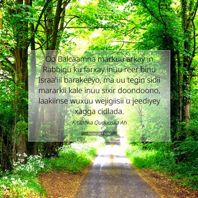 Picture 07 - Tirintii 24:1 SOM - Oo Balcaamna markuu arkay in Rabbigu ku farxay - Bible Verse Picture