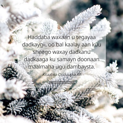 Picture 07 - Tirintii 24:14 SOM - Haddaba waxaan u tegayaa dadkaygii, oo bal kaalay - Bible Verse Picture