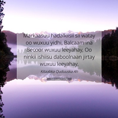Picture 07 - Tirintii 24:15 SOM - Markaasuu hadalkiisii sii watay oo wuxuu yidhi, - Bible Verse Picture