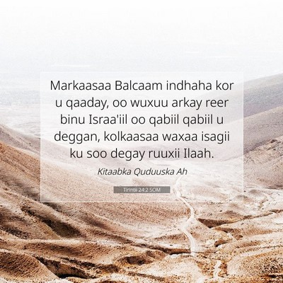 Picture 07 - Tirintii 24:2 SOM - Markaasaa Balcaam indhaha kor u qaaday, oo wuxuu - Bible Verse Picture
