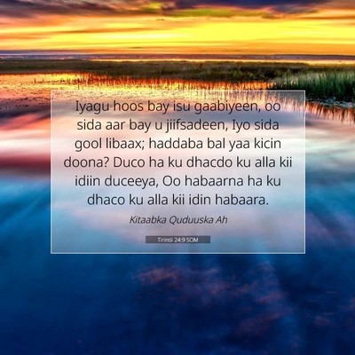 Picture 07 - Tirintii 24:9 SOM - Iyagu hoos bay isu gaabiyeen, oo sida aar bay u - Bible Verse Picture