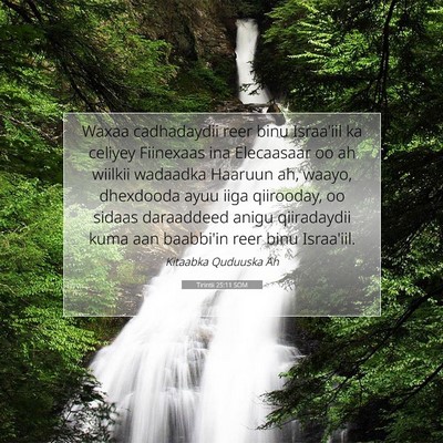 Picture 07 - Tirintii 25:11 SOM - Waxaa cadhadaydii reer binu Israa'iil ka celiyey - Bible Verse Picture