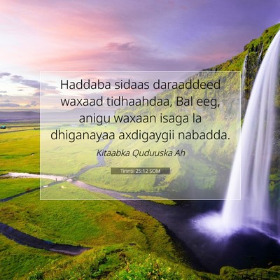 Picture 07 - Tirintii 25:12 SOM - Haddaba sidaas daraaddeed waxaad tidhaahdaa, Bal - Bible Verse Picture