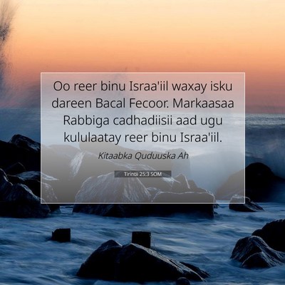 Picture 07 - Tirintii 25:3 SOM - Oo reer binu Israa'iil waxay isku dareen Bacal - Bible Verse Picture
