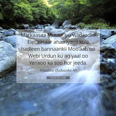 Picture 07 - Tirintii 26:3 SOM - Markaasaa Muuse iyo wadaadkii Elecaasaar ahaa - Bible Verse Picture