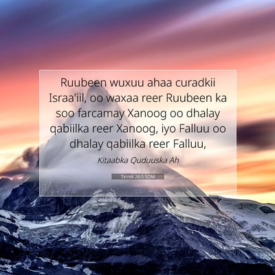 Picture 07 - Tirintii 26:5 SOM - Ruubeen wuxuu ahaa curadkii Israa'iil, oo waxaa - Bible Verse Picture
