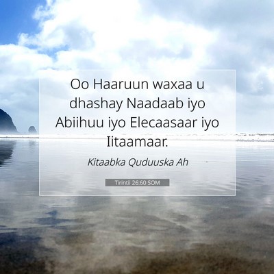 Picture 07 - Tirintii 26:60 SOM - Oo Haaruun waxaa u dhashay Naadaab iyo Abiihuu - Bible Verse Picture