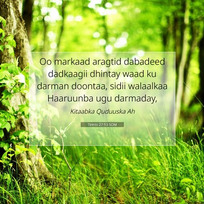 Picture 07 - Tirintii 27:13 SOM - Oo markaad aragtid dabadeed dadkaagii dhintay - Bible Verse Picture