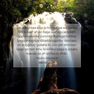 Picture 07 - Tirintii 27:21 SOM - Oo isagu waa inuu is-hor taagaa wadaadka - Bible Verse Picture