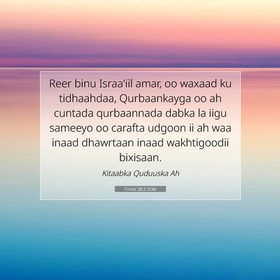 Picture 07 - Tirintii 28:2 SOM - Reer binu Israa'iil amar, oo waxaad ku - Bible Verse Picture