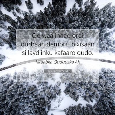 Picture 07 - Tirintii 28:22 SOM - Oo waa inaad orgi qurbaan dembi u bixisaan si - Bible Verse Picture