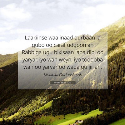 Picture 07 - Tirintii 28:27 SOM - Laakiinse waa inaad qurbaan la gubo oo caraf - Bible Verse Picture