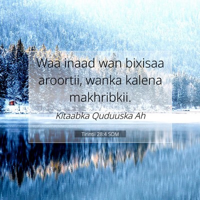 Picture 07 - Tirintii 28:4 SOM - Waa inaad wan bixisaa aroortii, wanka kalena - Bible Verse Picture