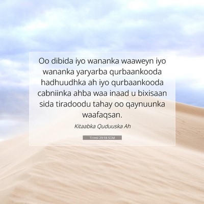 Picture 07 - Tirintii 29:18 SOM - Oo dibida iyo wananka waaweyn iyo wananka - Bible Verse Picture